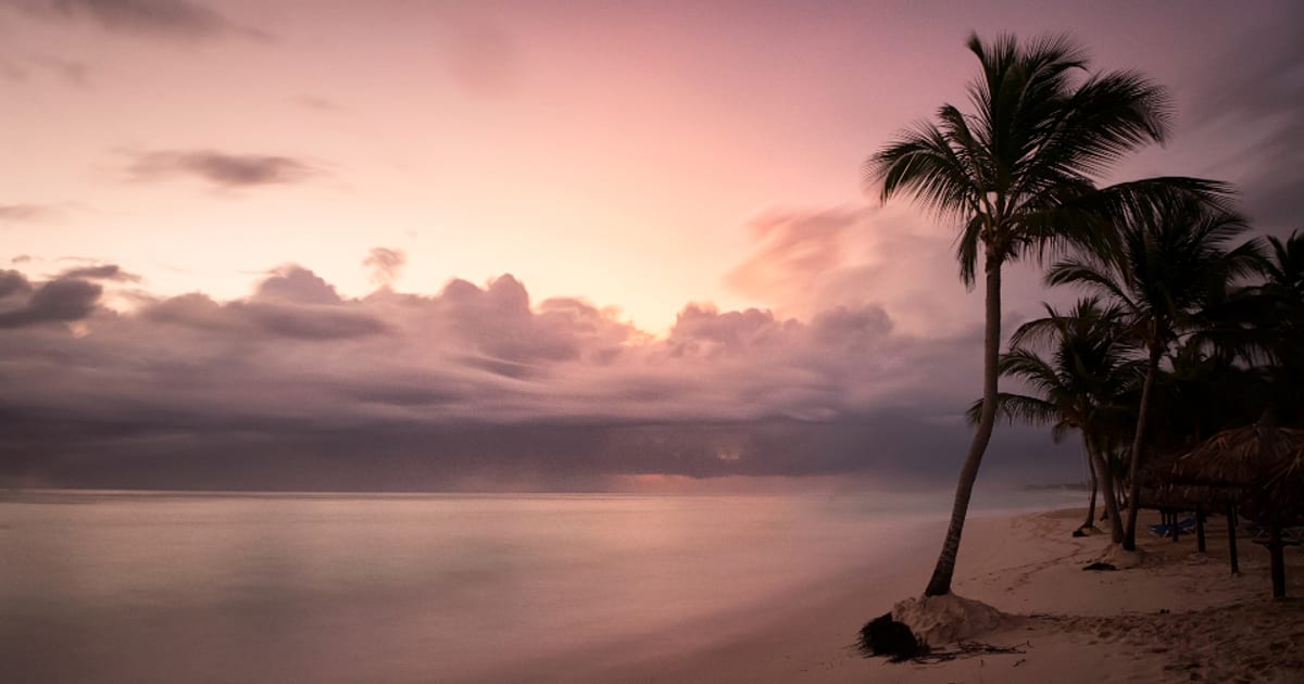 Tropical Beach